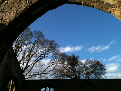 Wild Church at Holy Trinity, Buckfastleigh