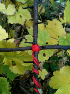 A blackthorn cross for Remembrance